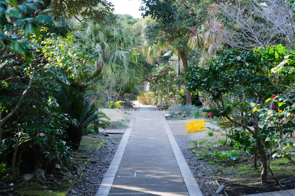 木々と花に囲まれたサムエル・コッキング苑の小道