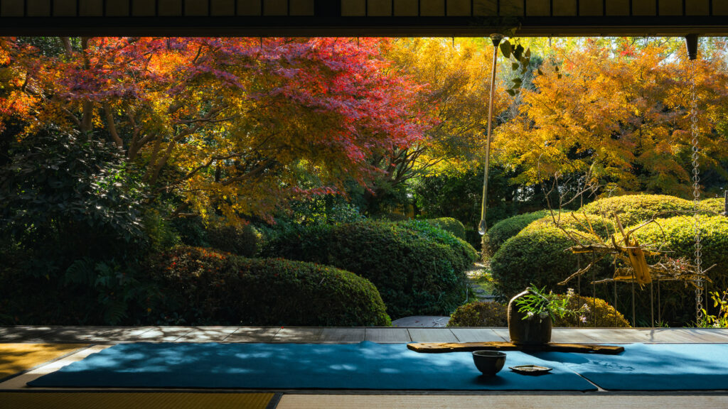 丈山苑の座敷の窓から見た紅葉の庭